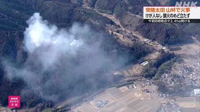 茨城県の山火事